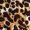 Brown Cheetah Print Short Sleeve Midi Shirt Dress