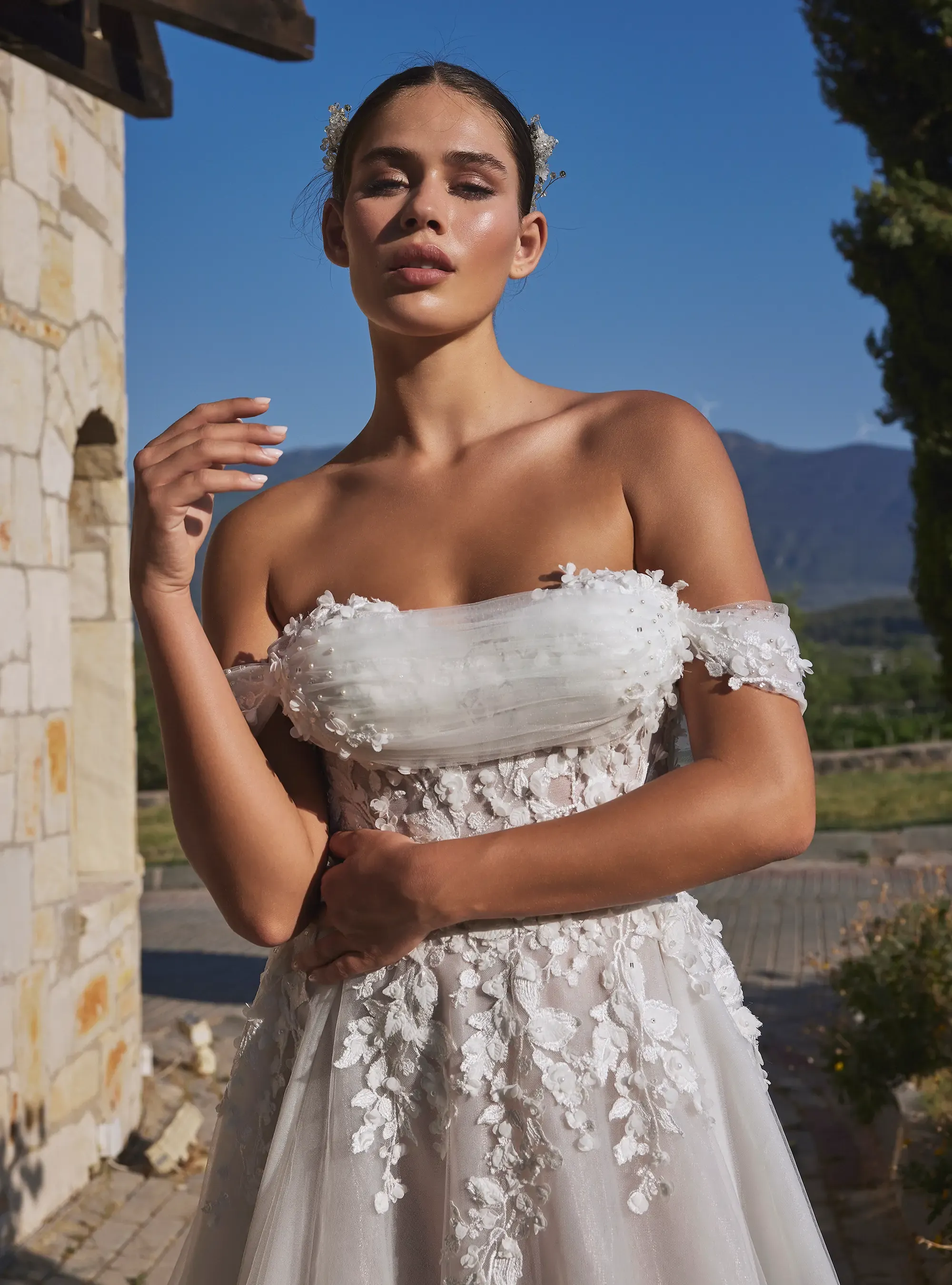 Classic Romantic silhouette A Line Gown with Off Shoulder Neckline