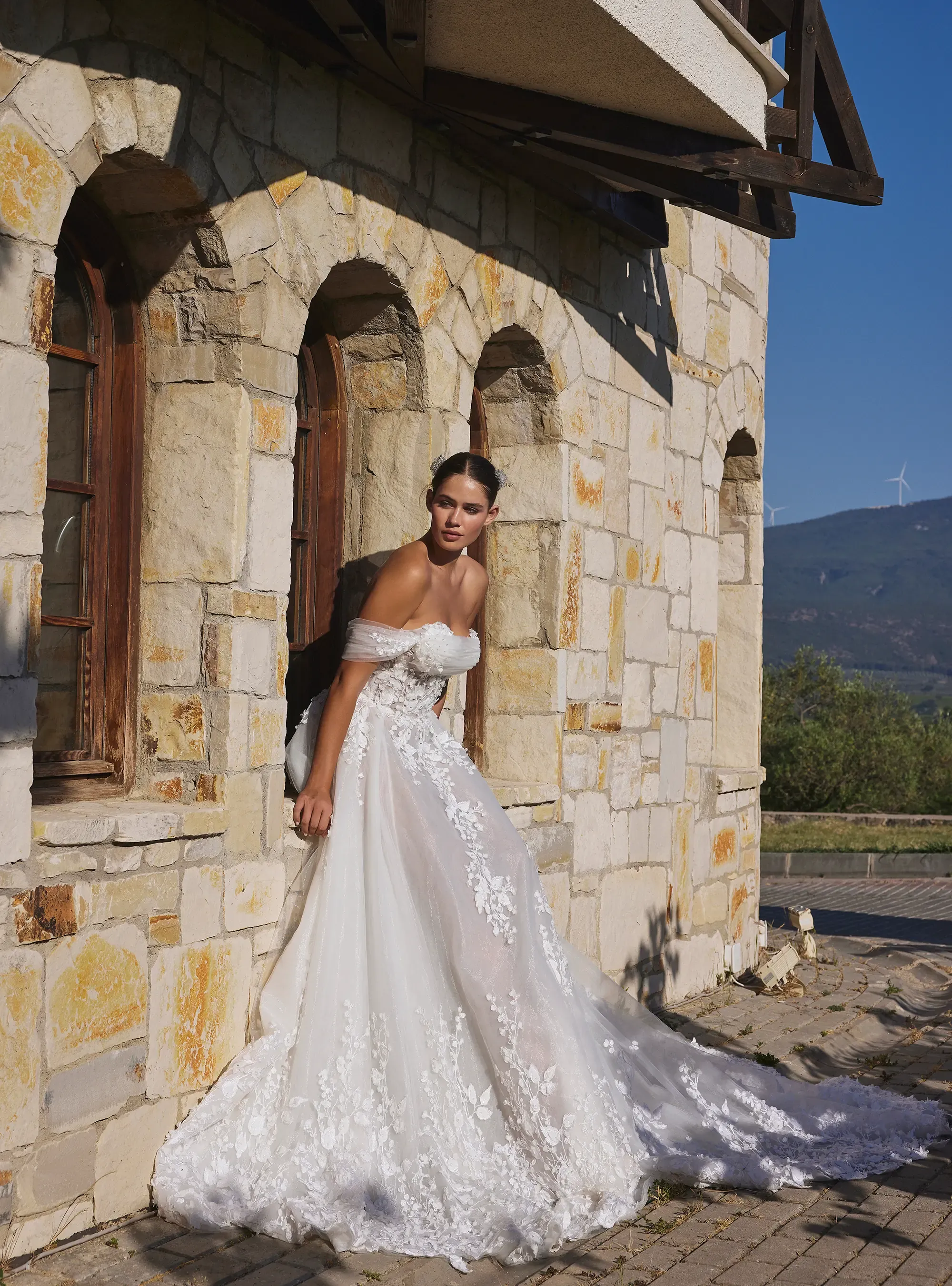 Classic Romantic silhouette A Line Gown with Off Shoulder Neckline