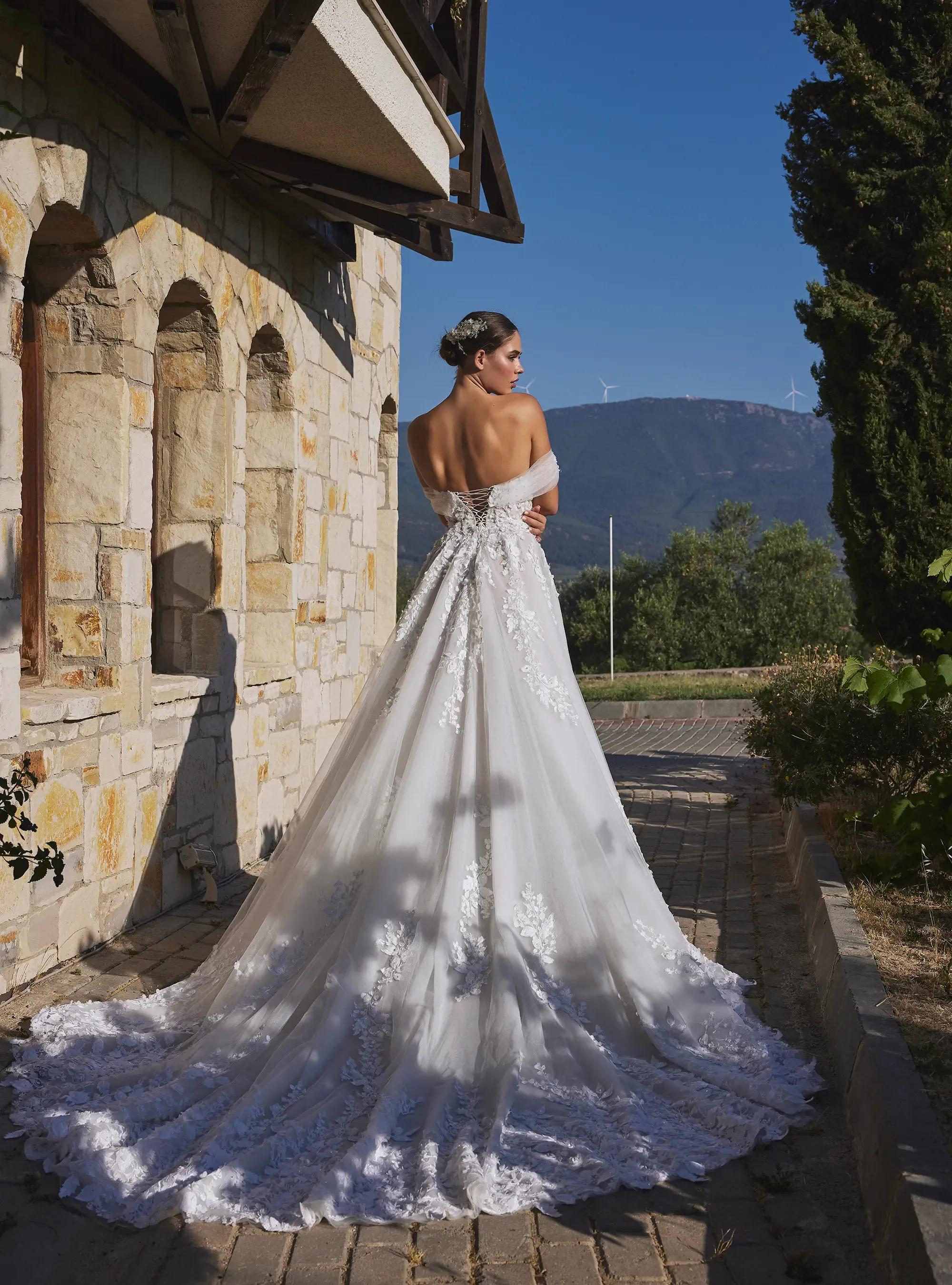 Classic Romantic silhouette A Line Gown with Off Shoulder Neckline