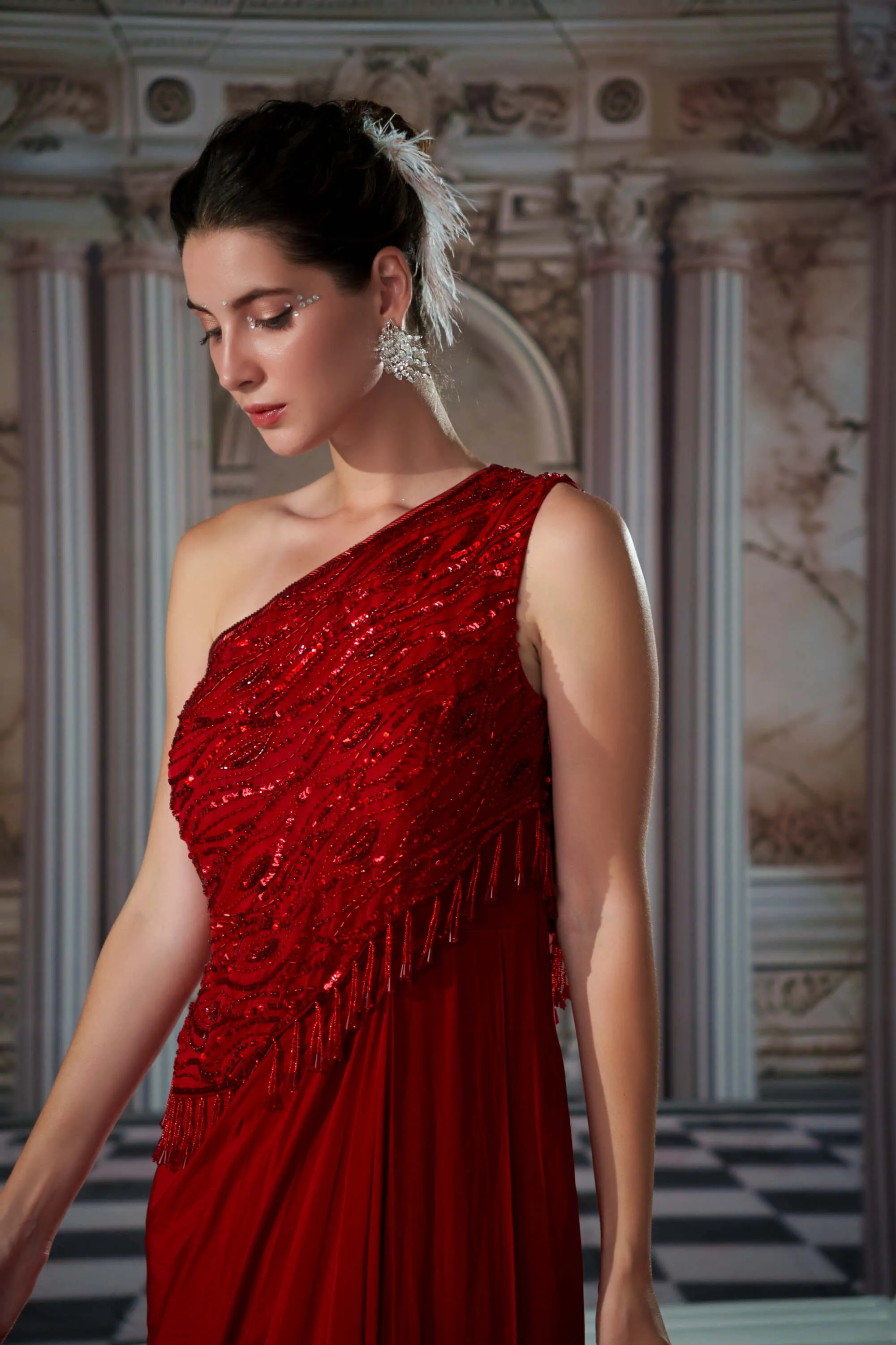 Divine red embroidery gown