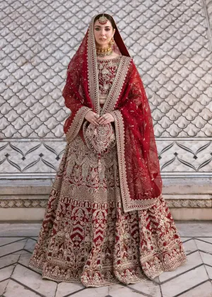 Embellished Red Lehenga Choli Pakistani Wedding Dresses