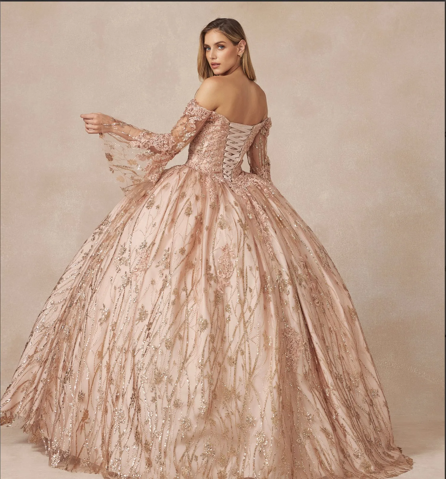Juliet Quinceañera Dress 1438