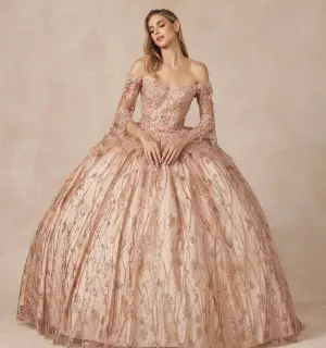 Juliet Quinceañera Dress 1438