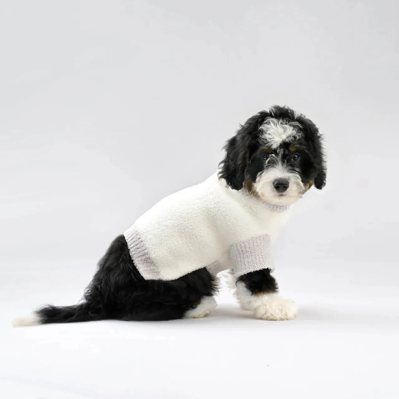 Kashwere Pet Sweaters ~ Kash-Cozy Available in 3 Sizes