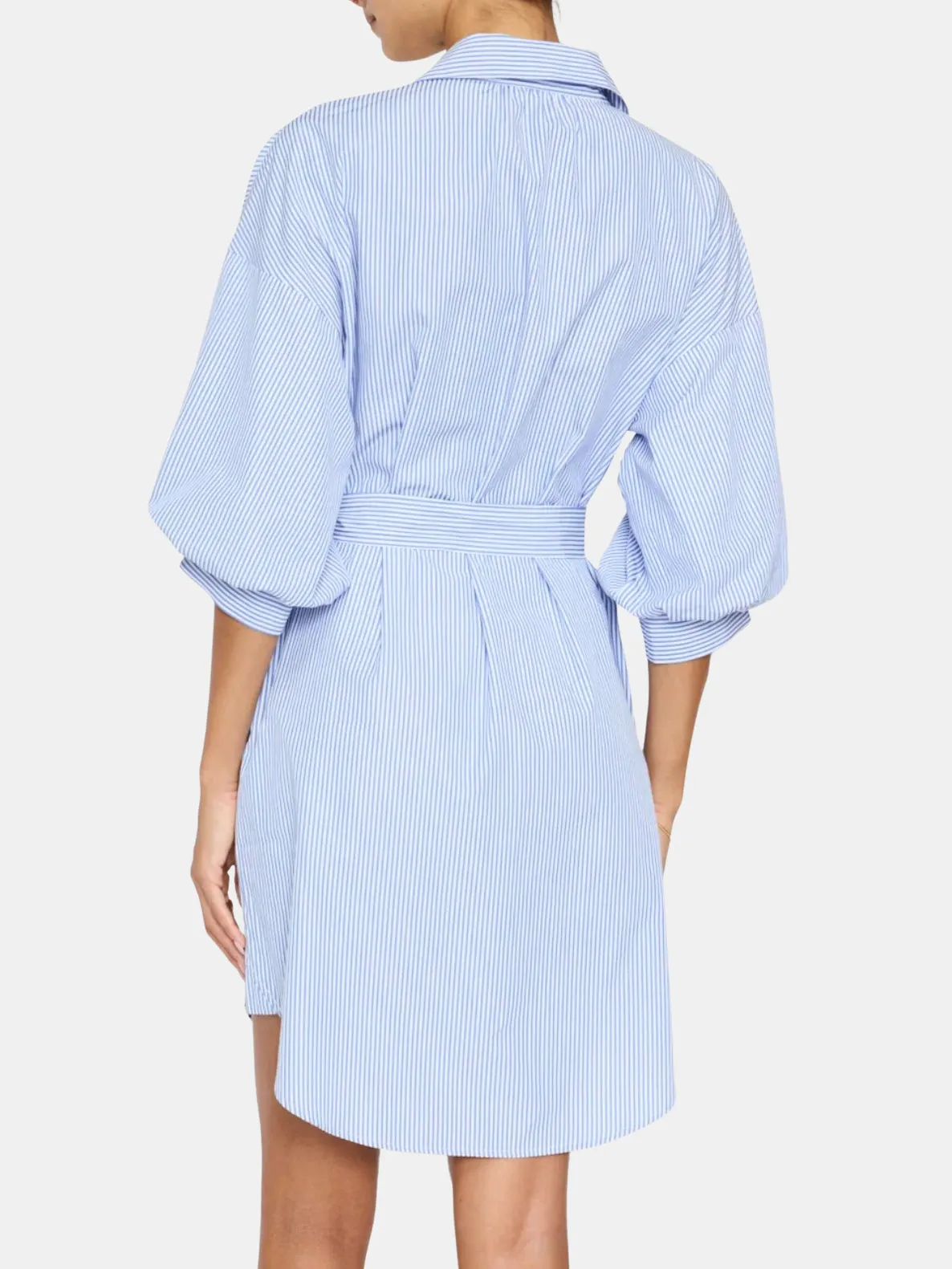 Kate Belted Dress