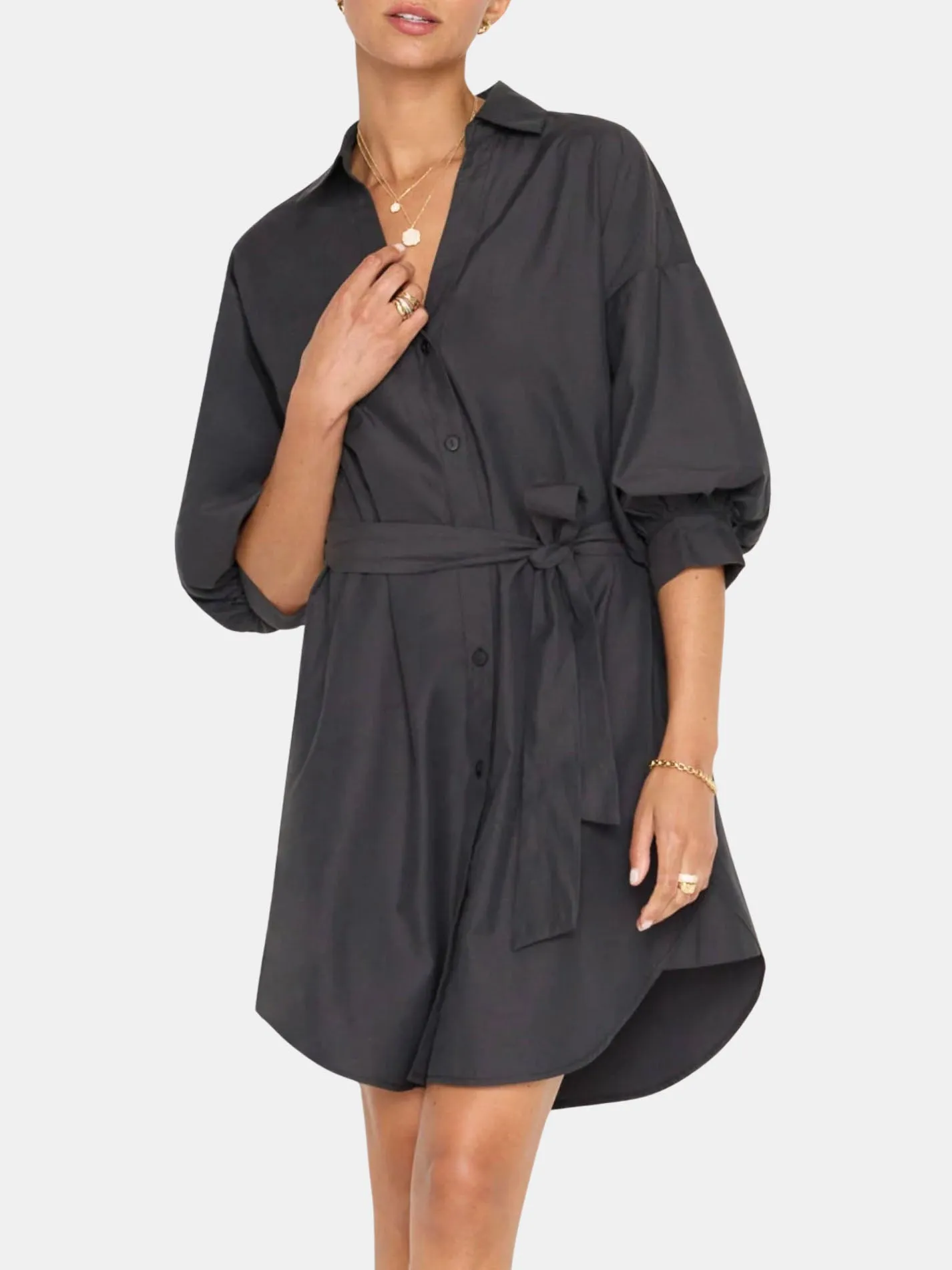 Kate Belted Dress