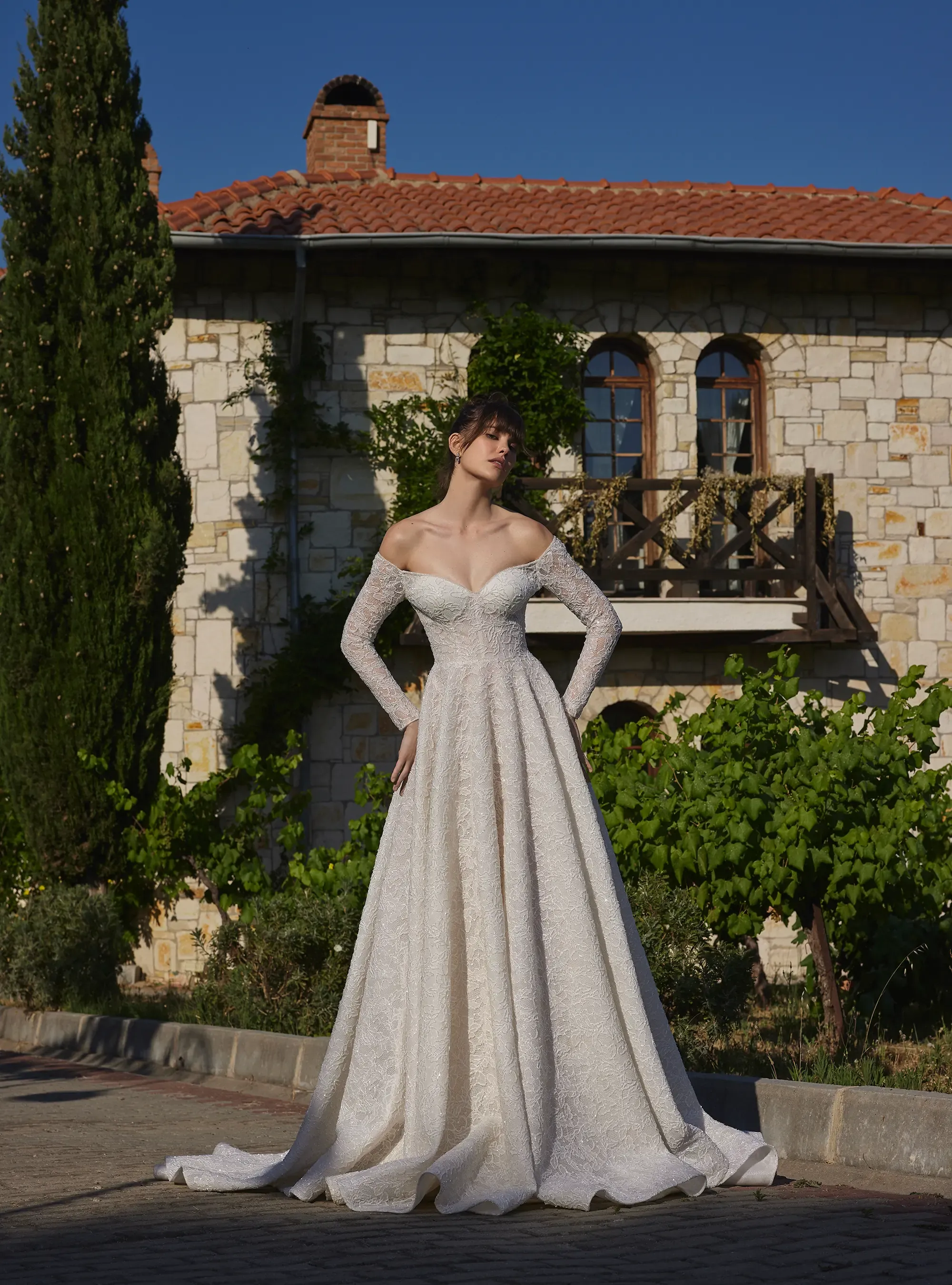 Luxury Shimmering Lace A Line Bridal Gown with Long Sleeves