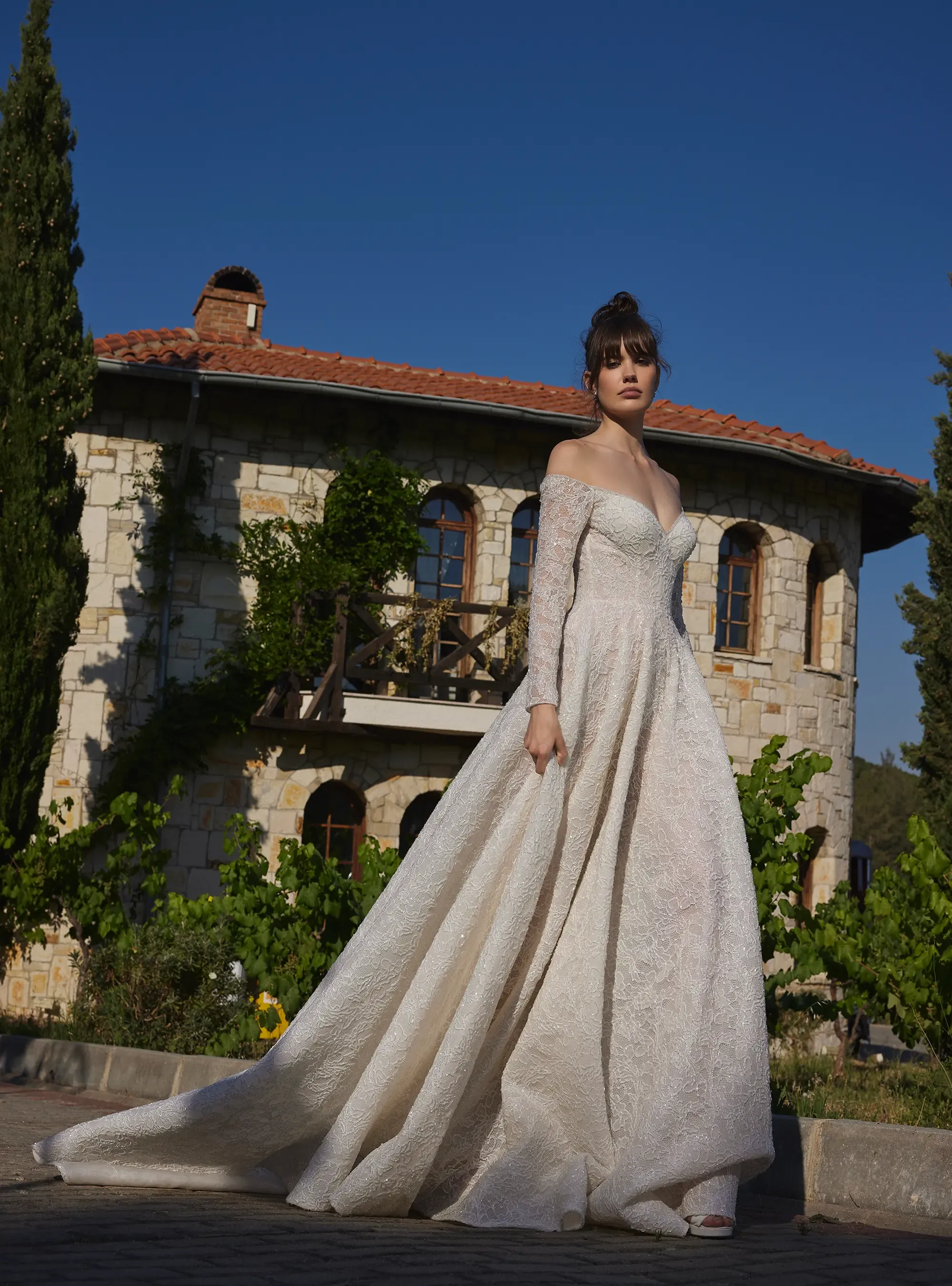 Luxury Shimmering Lace A Line Bridal Gown with Long Sleeves