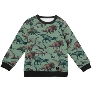 RAGS Kids Pocket Sweatshirt - Dinos - Green