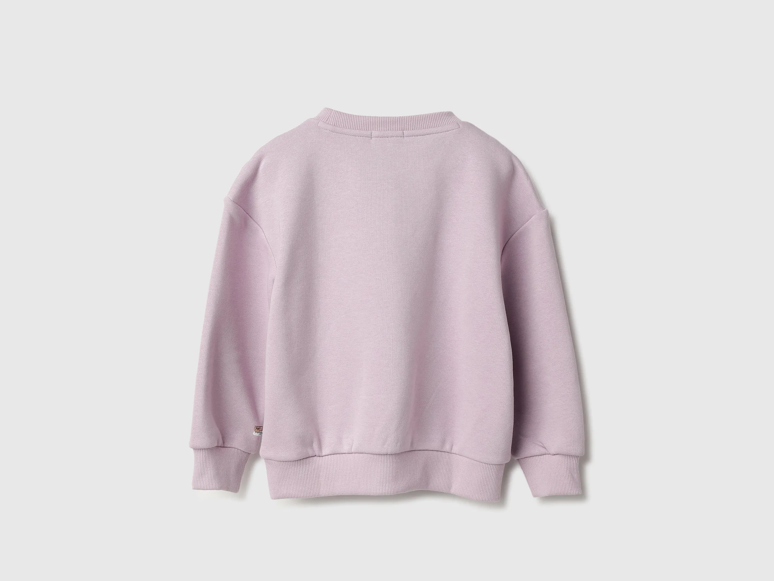 Regular Fit Round Neck Embroidered Sweatshirts