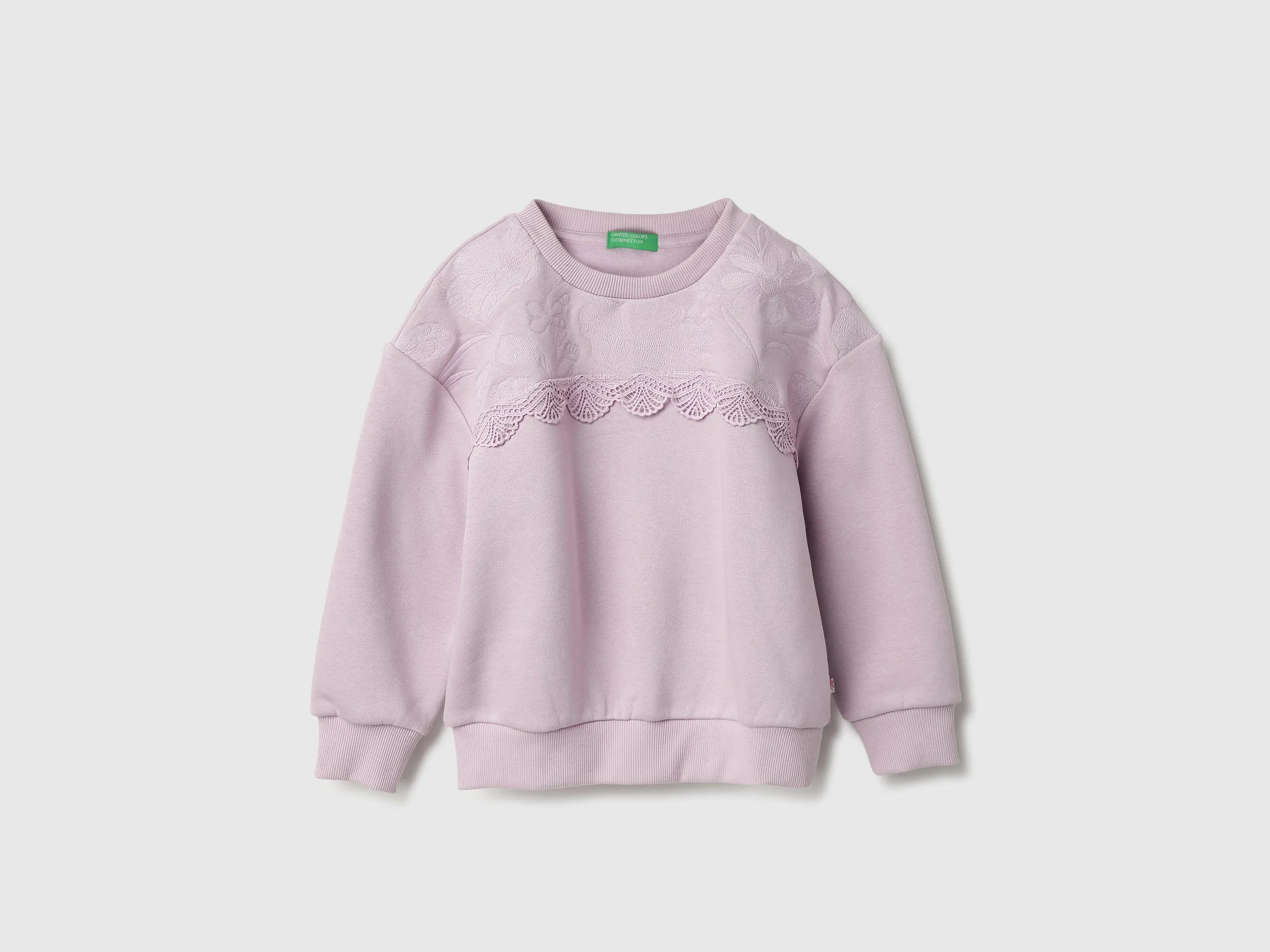 Regular Fit Round Neck Embroidered Sweatshirts