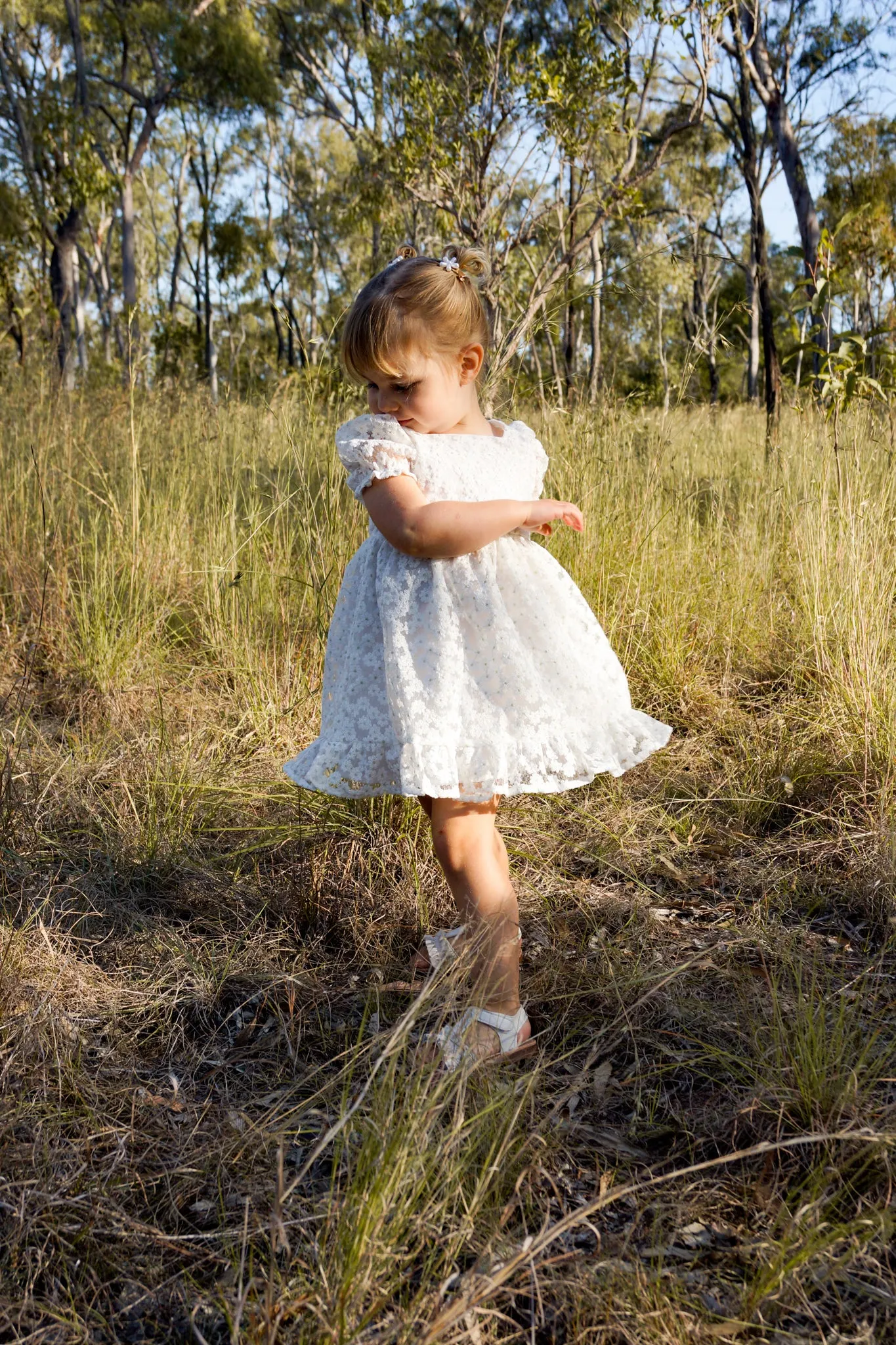 Valley Embroidered Dress