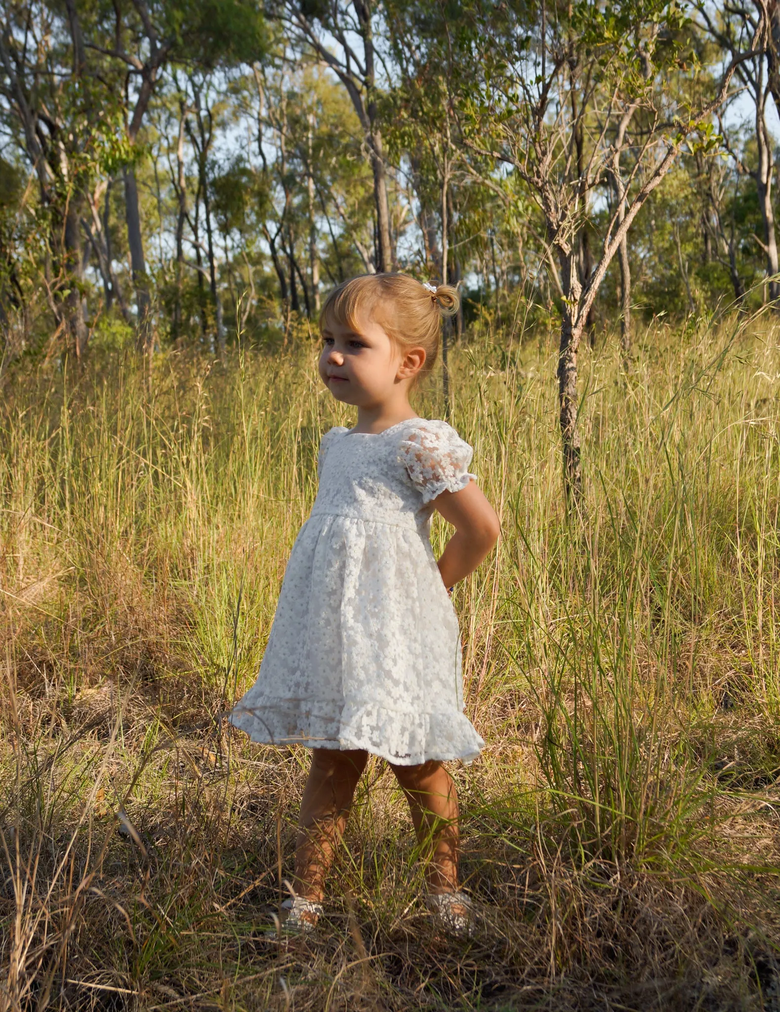 Valley Embroidered Dress